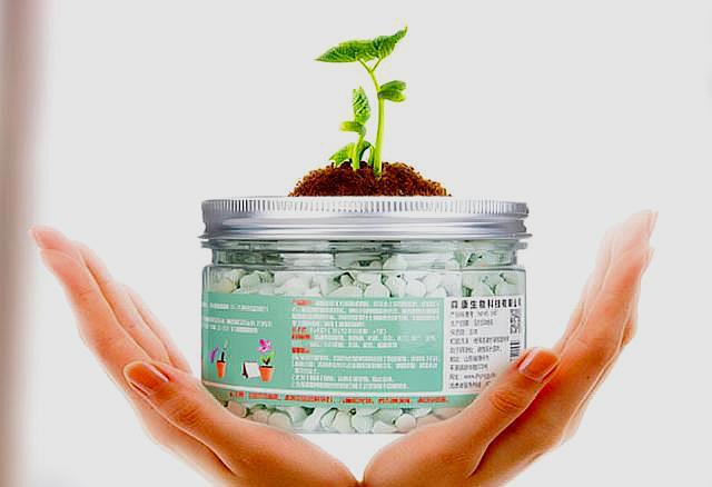 养栀子花用什么样的酸水,栀子花酸水过多会怎么样