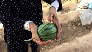 德国平民旅行车,不到20万买旅行车