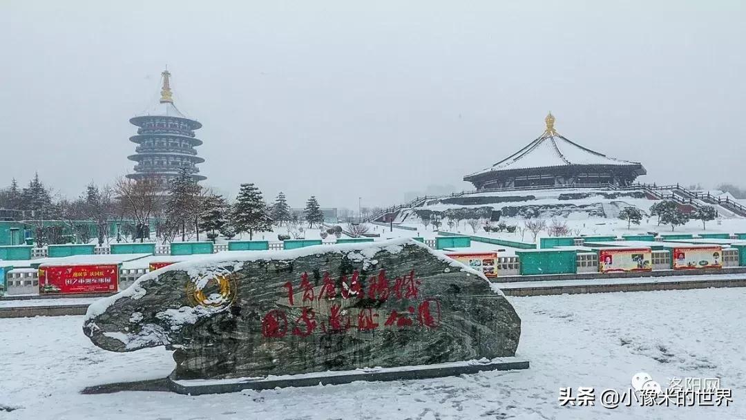 向洛阳人发出邀请国潮盛宴来袭,洛阳发布通知