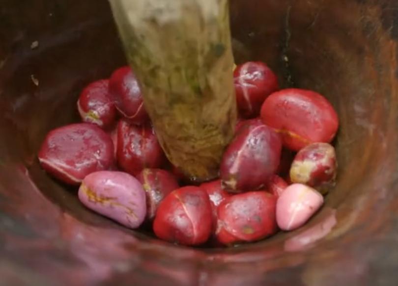 可乐能长在树上吗,可乐是树上长的吗