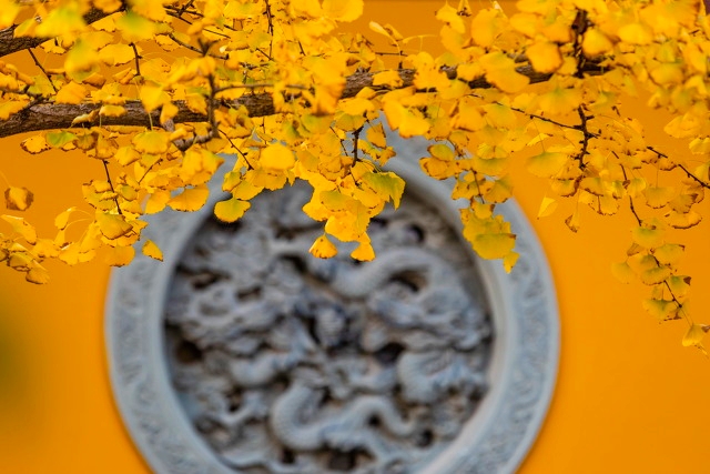 打卡新白娘子传奇杭州取景地,三月杭州打卡景点