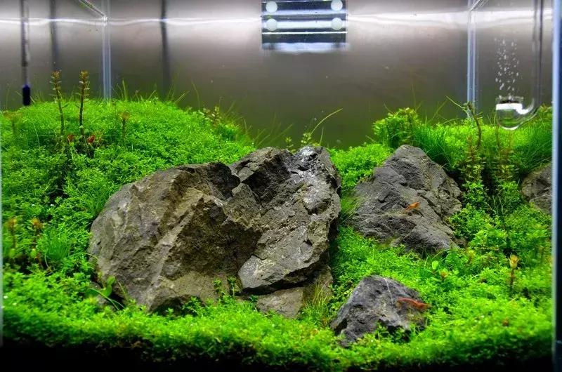 如何打造景观小缸,院子简易水景流水缸制作方法图片