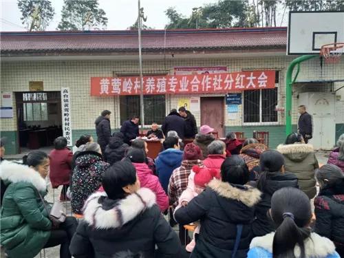 农民专业合作社创新模式,引导农民专业合作社规范化发展