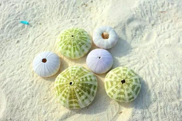 美丽又神秘的三沙,三沙的大美风光