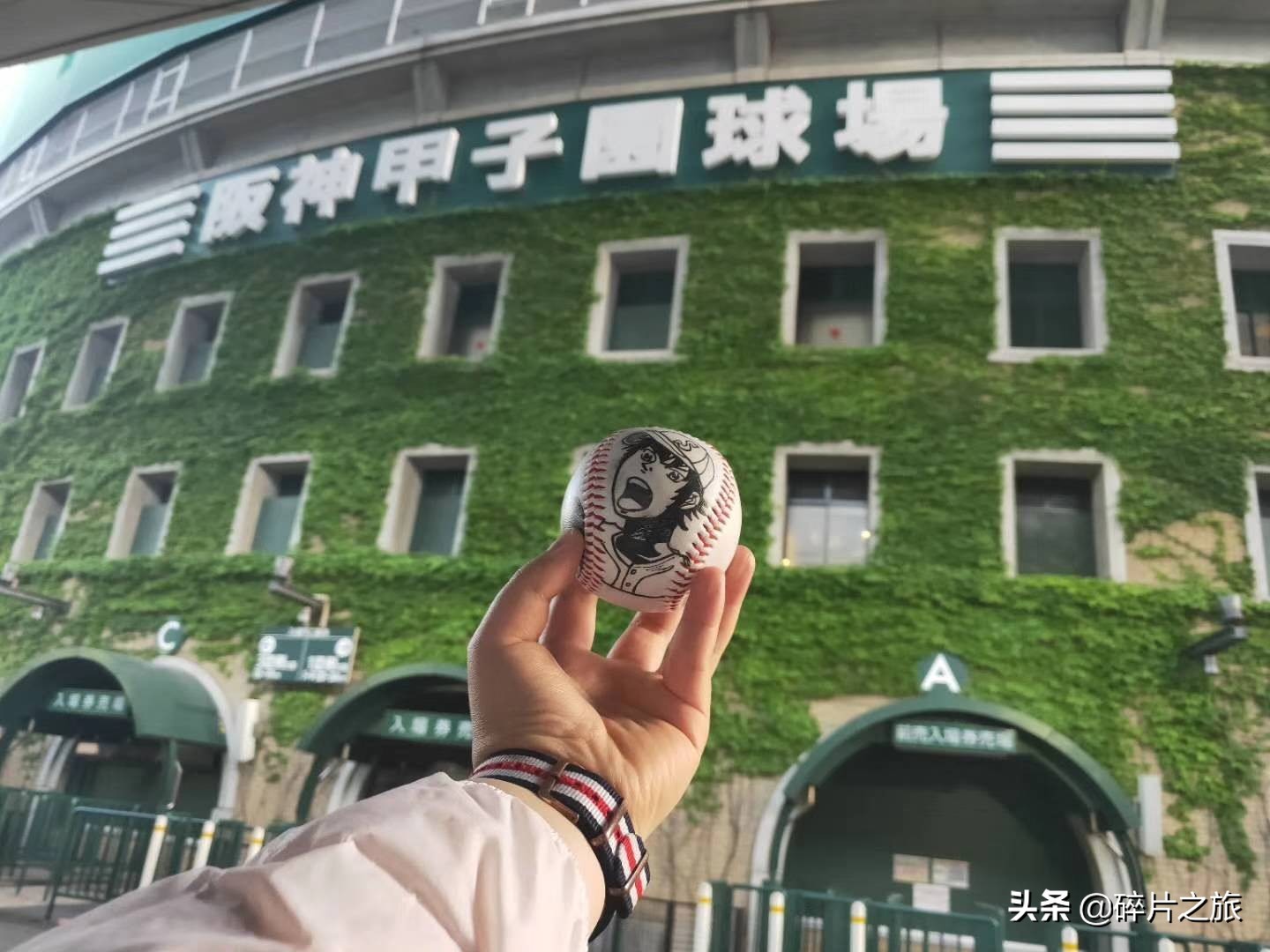 上海游轮去日本攻略,上海去日本的邮轮旅游攻略