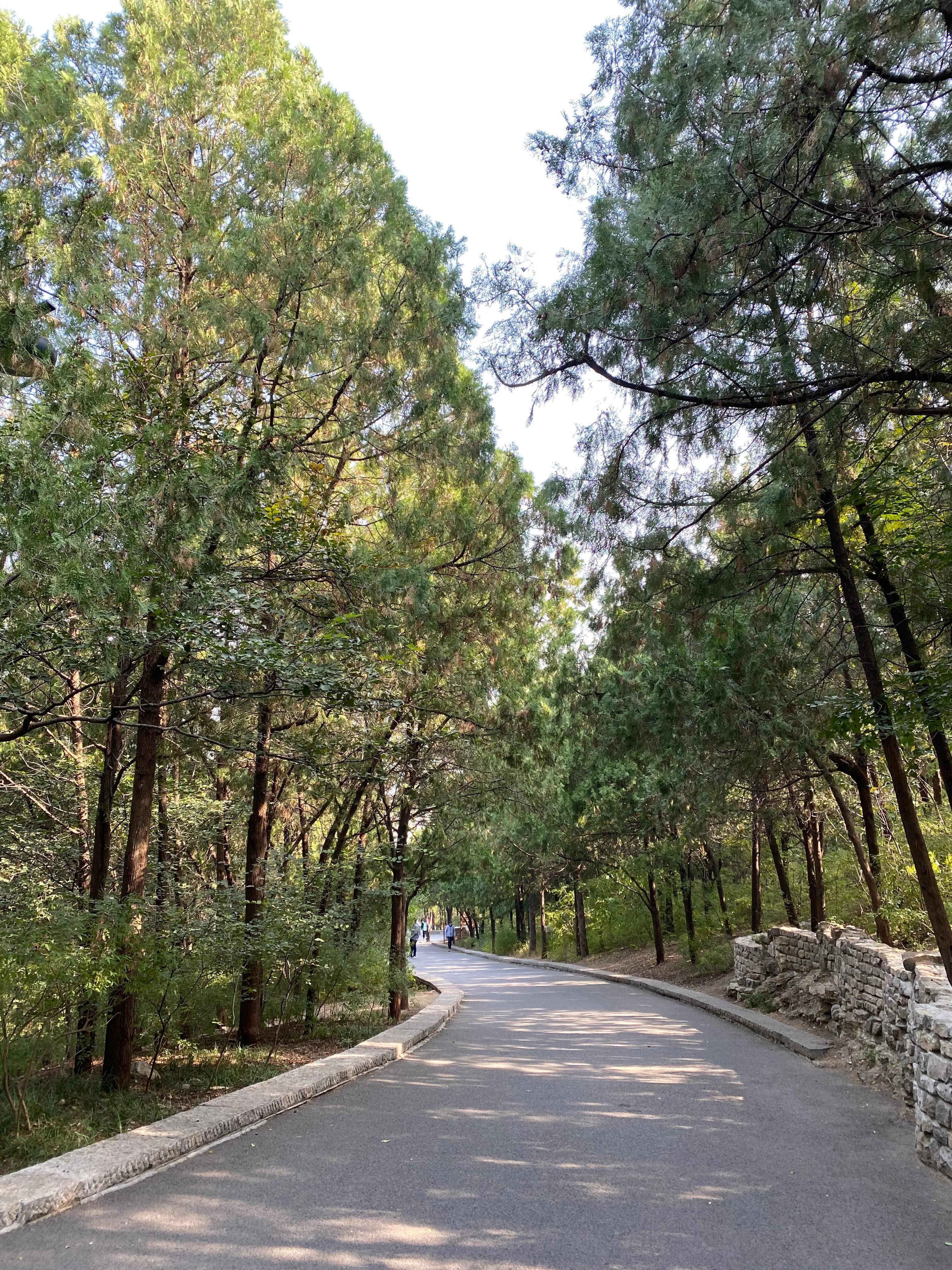 70后看待80后,70后女人发朋友圈心态