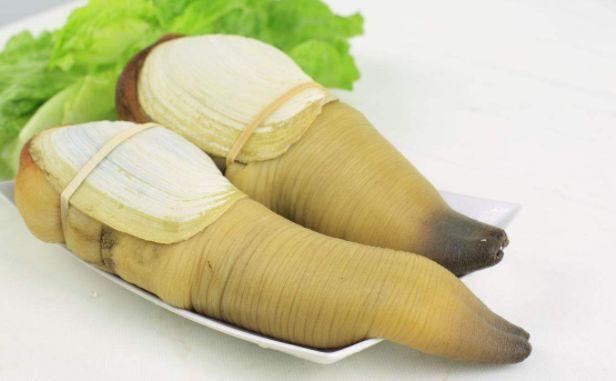 象拔蚌挑选方法图解,象拔蚌怎么处理才能做成美味好吃