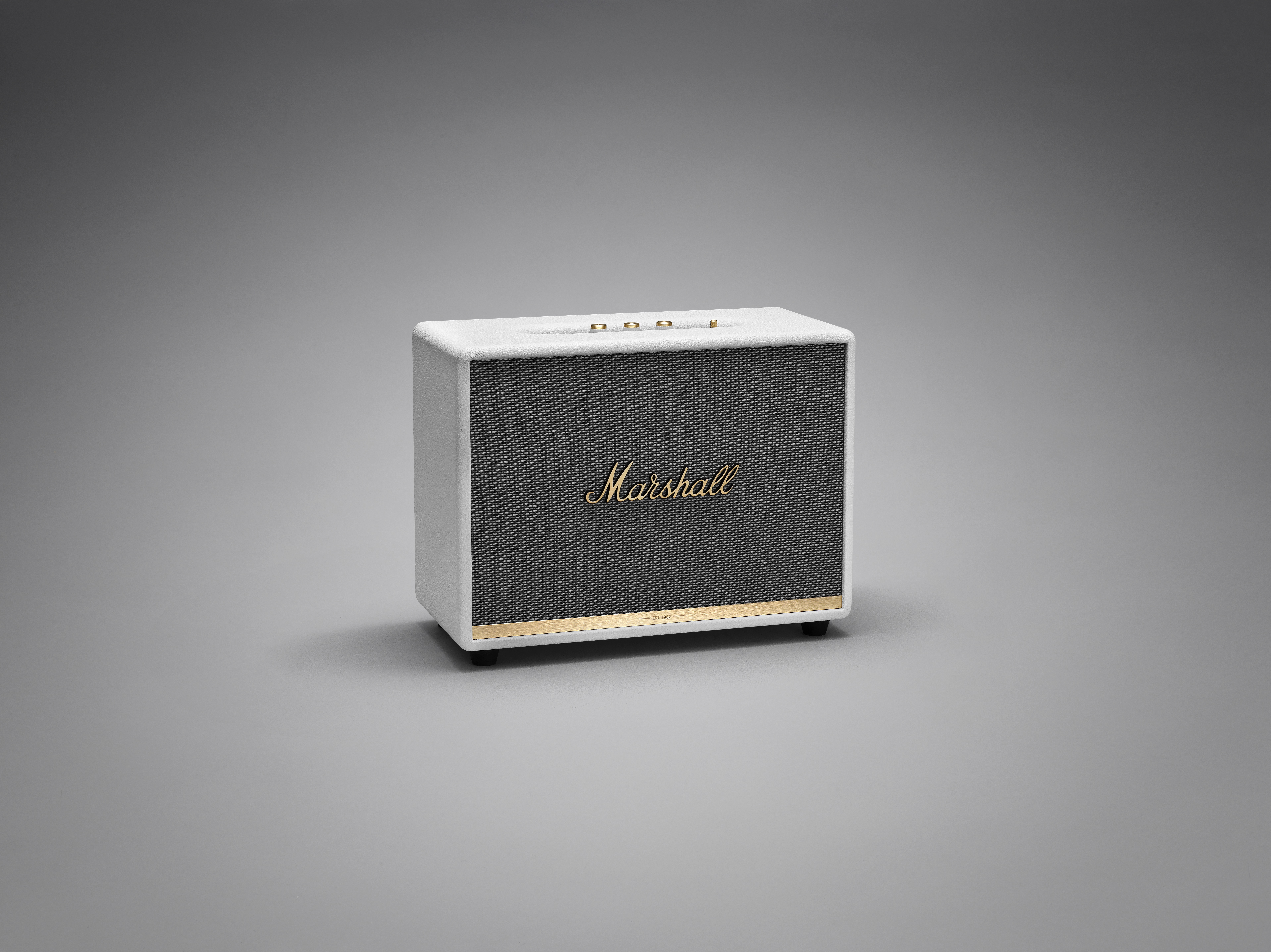 chip实验的阴性对照,chipgenius测试