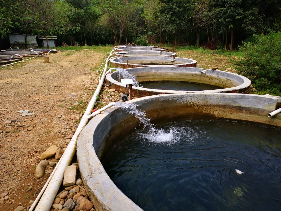 疫情过后娱乐行业重创,疫情过后旅游业的反弹