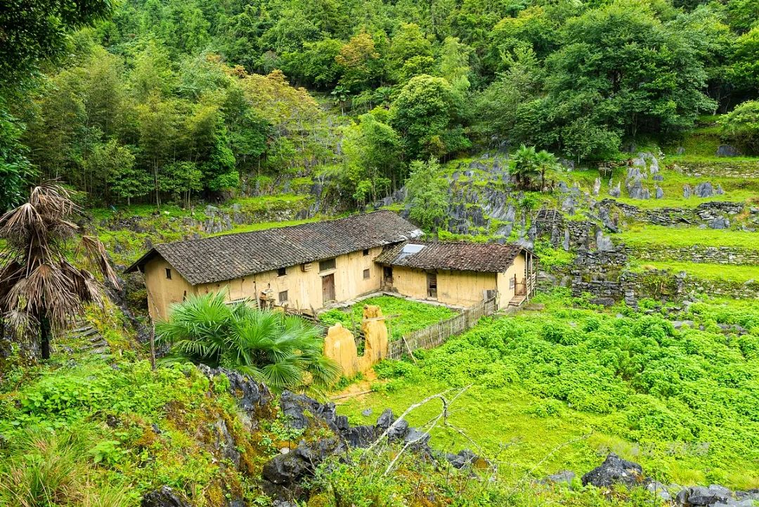 徒步穿越秦岭无人区,徒步穿越喀斯特森林