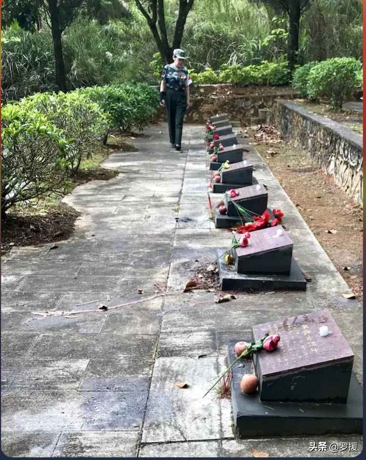 女兵亲历越南战役,女兵亲历反击战