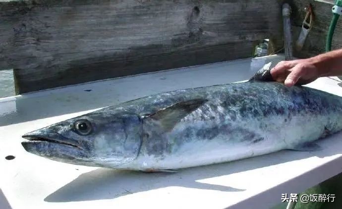 米其林三星新荣记上海,新荣记米其林三星店