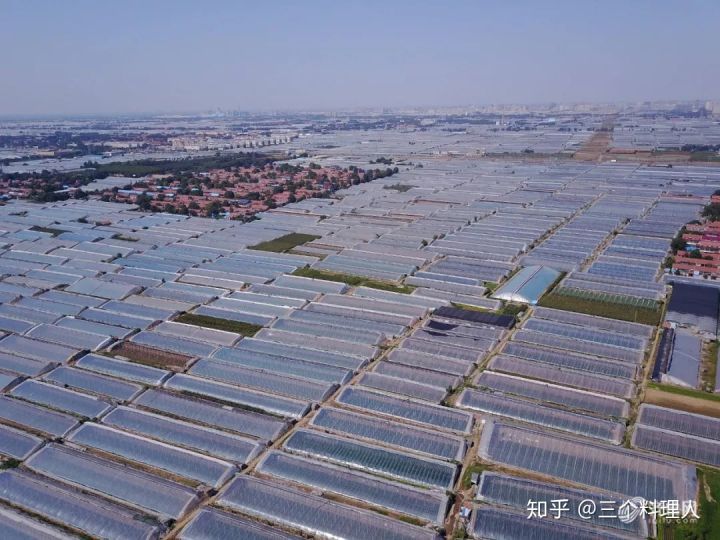 灞变笢鐨勮敩鑿滅粰鍝噷渚涚粰,灞变笢鐨勮敩鑿滈兘渚涘摢閲屼簡