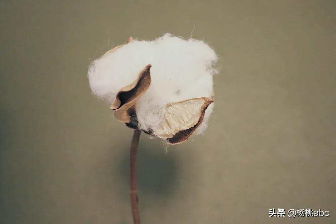 怎么选高级感的四件套床品,推荐质量好点的床品四件套