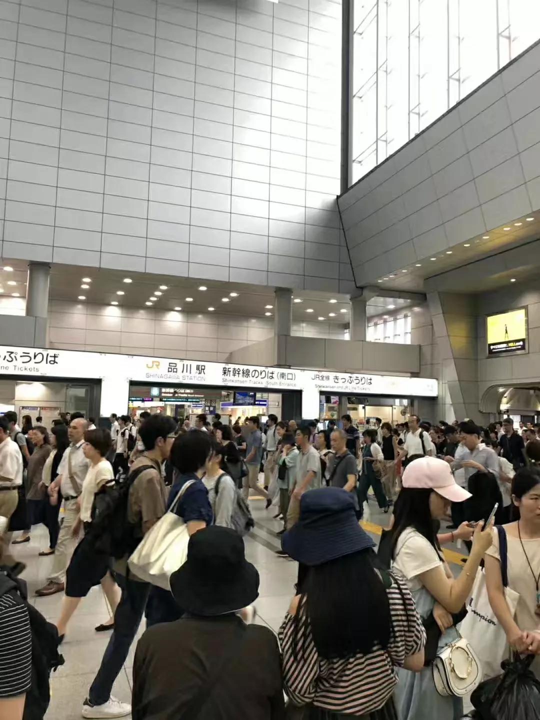 日本新干线列车视频,日本新干线价格