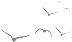 陈东升、阎志来站台,湖北这市又搞大事情