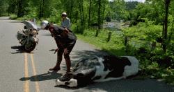 95式自动步枪被爆头危险的原因,95步枪连发打不了为什么