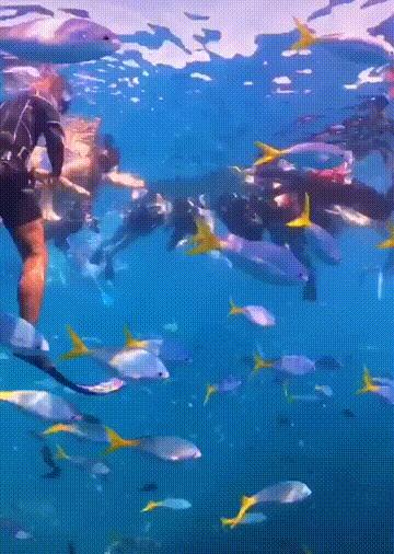 人间仙境之帕劳,帕劳是位于太平洋上的一个小国