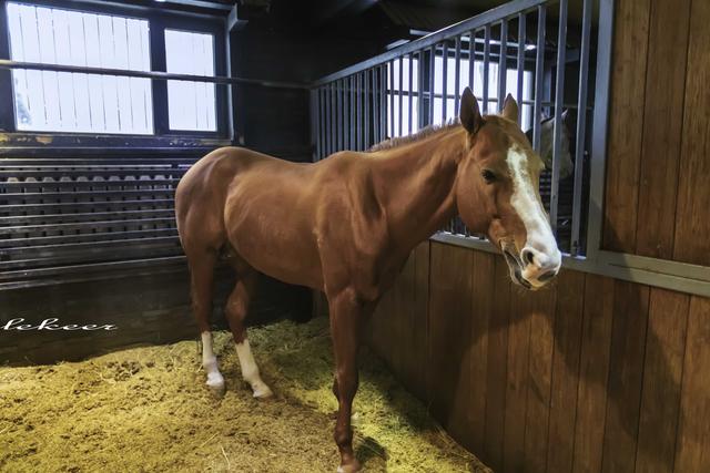 乌鲁木齐灯草沟滑雪,冰雪大世界滑雪体验
