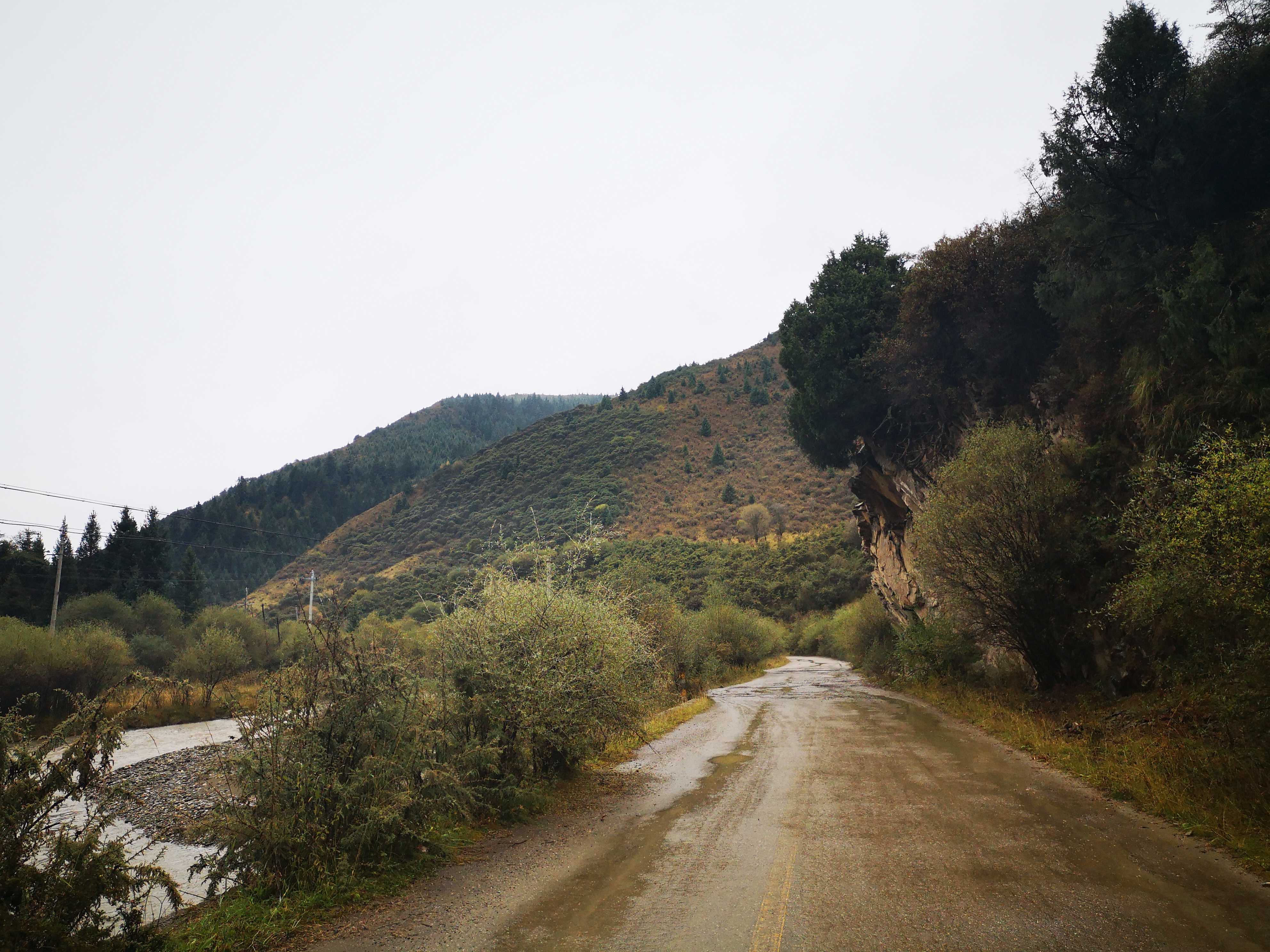 则岔石林游记,尕海湖和则岔石林