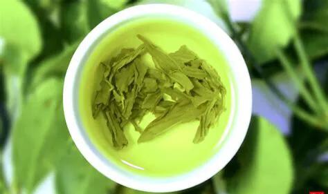 肝病和肝损伤有何区别,肝病能查出肝毒吗