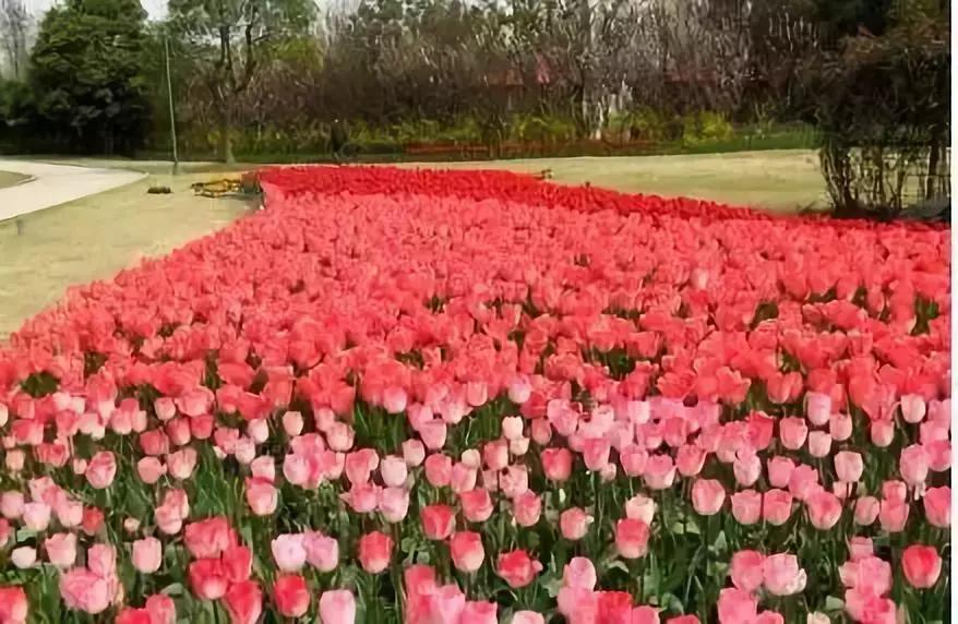 菏泽旅游必去十大景点推荐一下,菏泽本地一日游最佳景点一览表