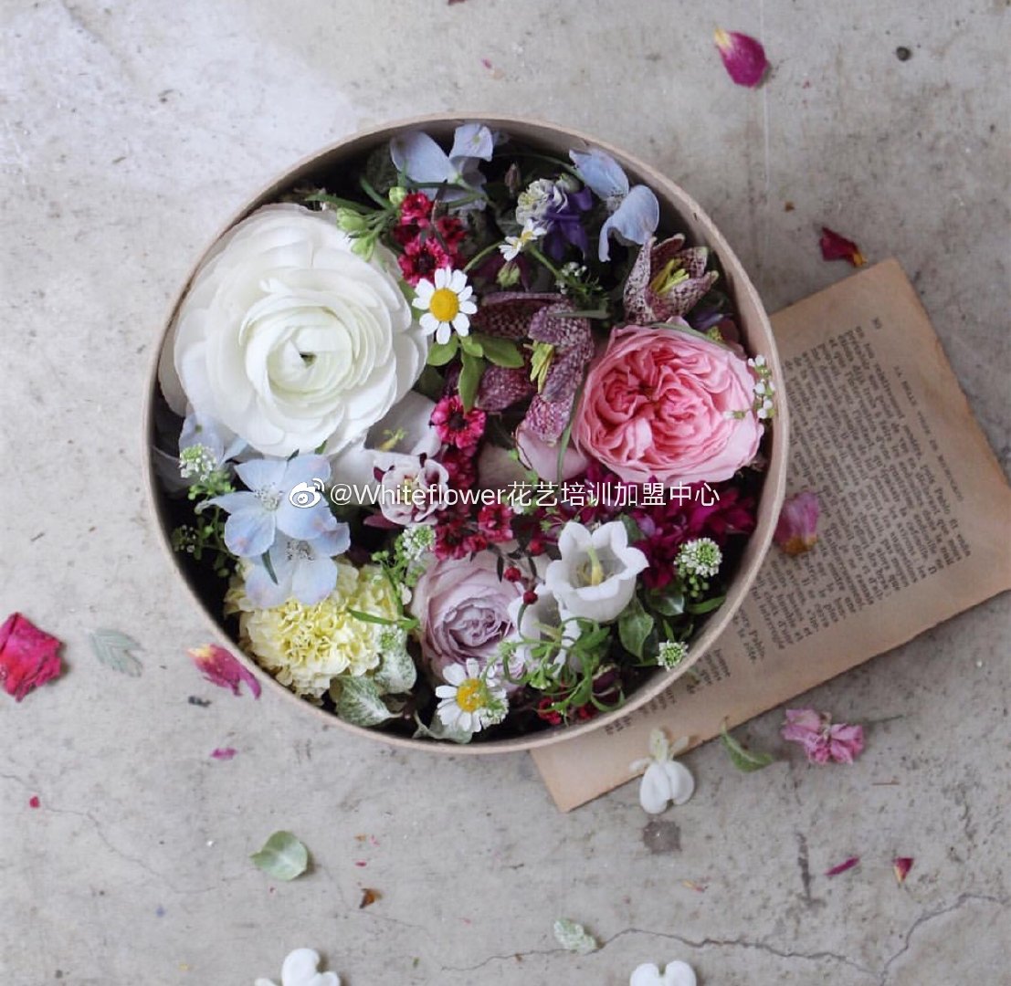 whiteflower闂ㄥ簵,whiteflower