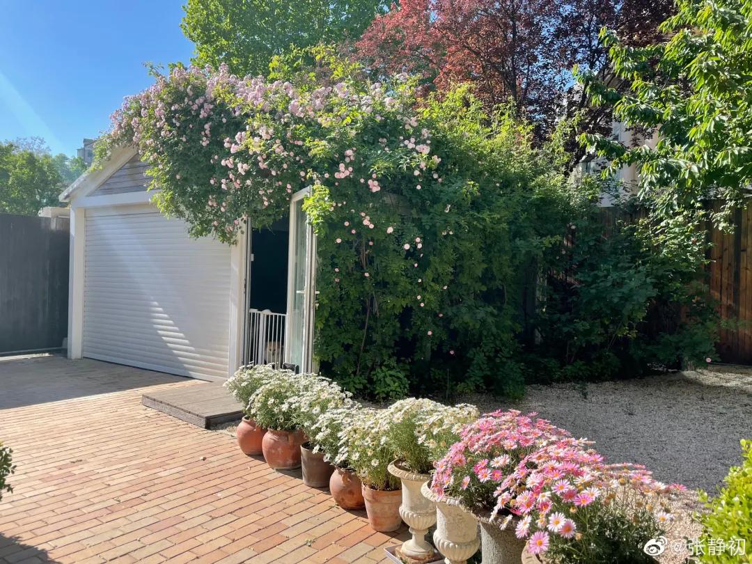 消失6年后,张静初单身生活首曝光!独居大House,与满屋破烂作伴