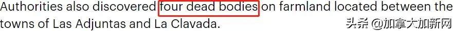 疫情下旅游胜地成杀人天堂32人死温哥华富豪尸体被冲上海滩