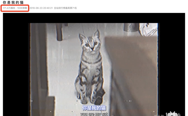 十个小张，藏在卧室的天后种子选手|麻乐音乐专访