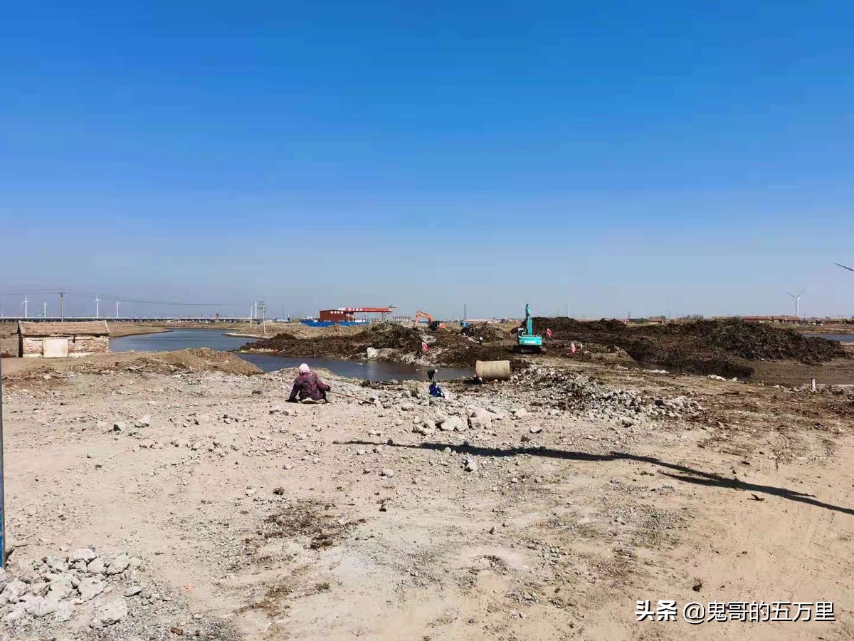 鬼哥的五万里D201骑记：山东回忆录-上,黄骅市上排河镇-滨海新区