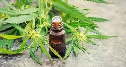 工业*麻大**:从北美火到中国,23个值得关注的行业机会