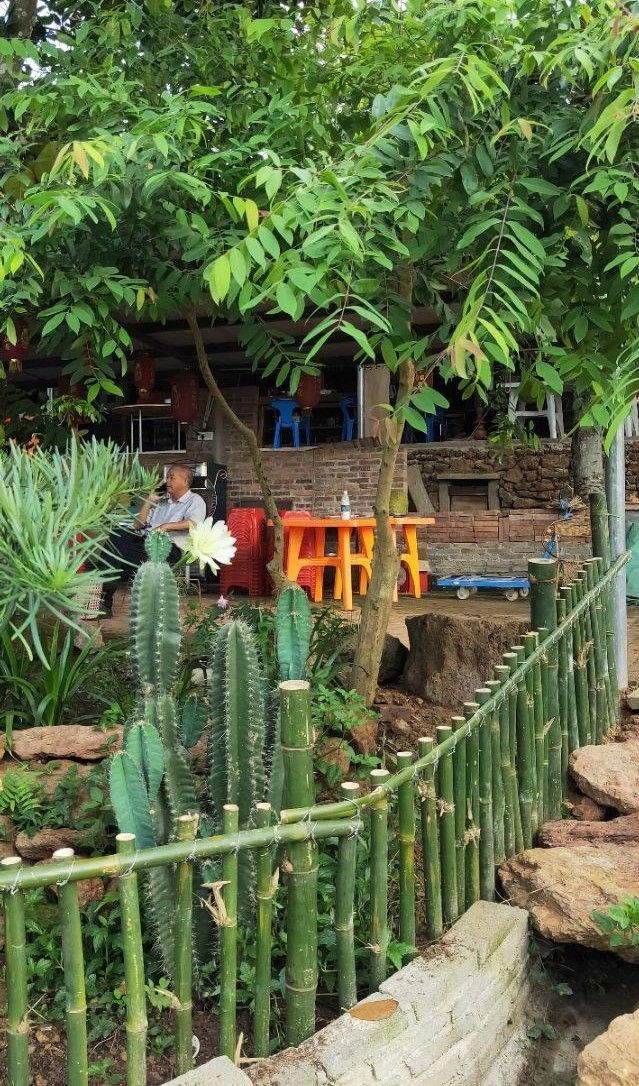 文蕴秀岭,馨怡乐园|廉江文秀岭农牧场散记