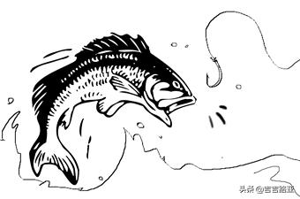 硬饵竿与软饵竿的区别,硬竿跟软竿的感度区别