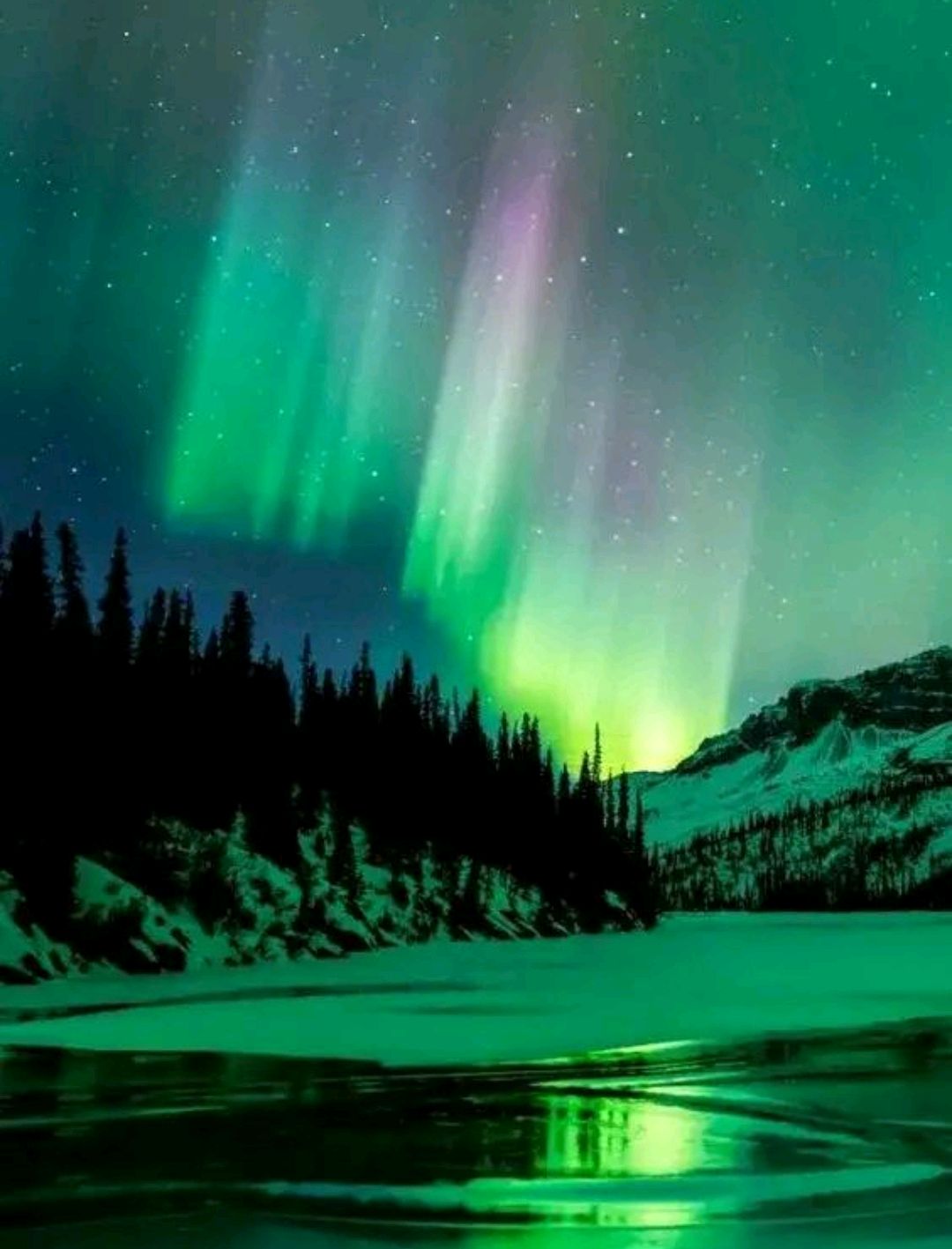 联想记忆的练习与应用,联想法记忆作业