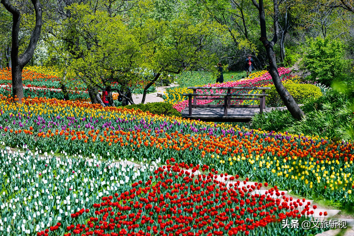 济南周末南部山区,南部山区是济南人的后花园