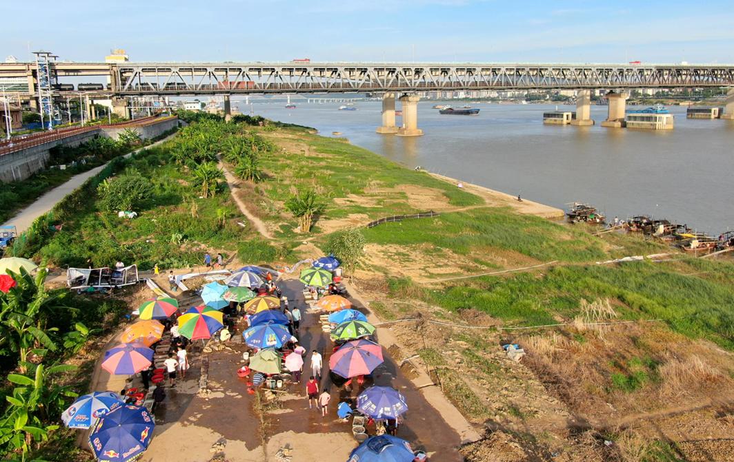 肥美的河鲜,肇庆哪里有河鲜卖