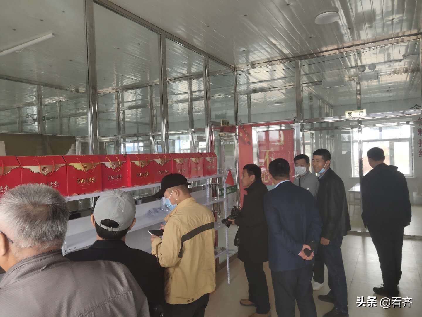 粘豆包粗粮直播,东北粘玉米面豆包直播