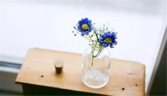 与人处世千万莫要斤斤计较,与人处事要大度