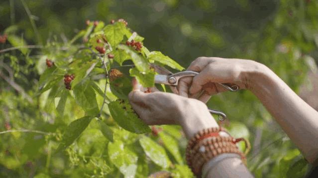 北京京郊女孩抱团养老村,北京山里抱团养老