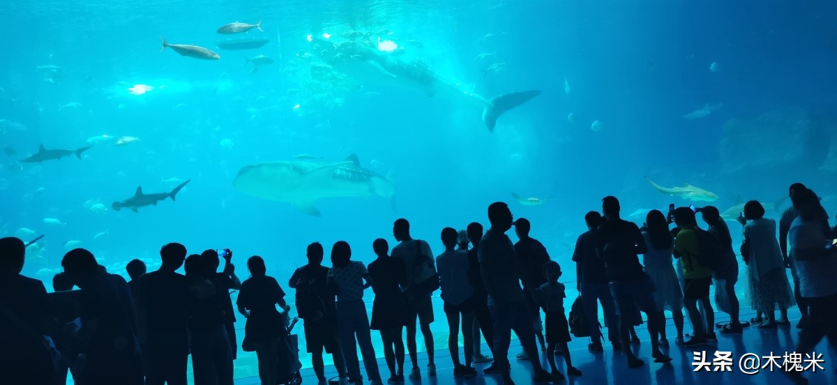 珠海长隆附近美食,珠海长隆海洋王国海底世界