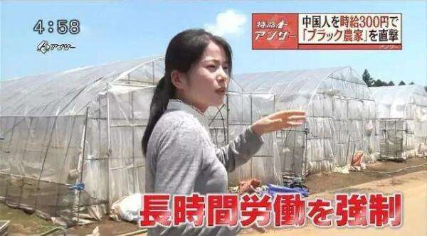 日本高收入打工人,日本农民收入非常高