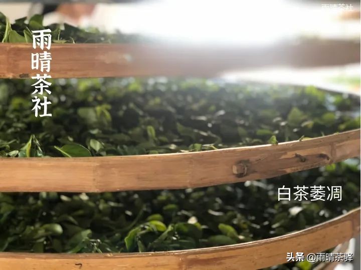 茶叶发酵和酿酒的区别,什么是茶叶发酵程度