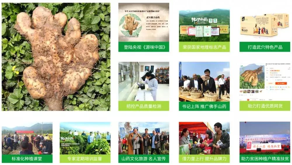 武穴有名的电商,武穴电商有限公司