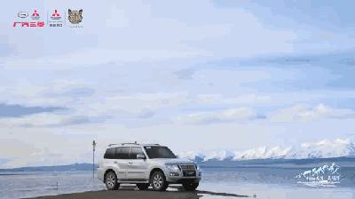 3.0t直列六缸硬派越野车型有哪些 (最便宜的3.0tv6越野车型)