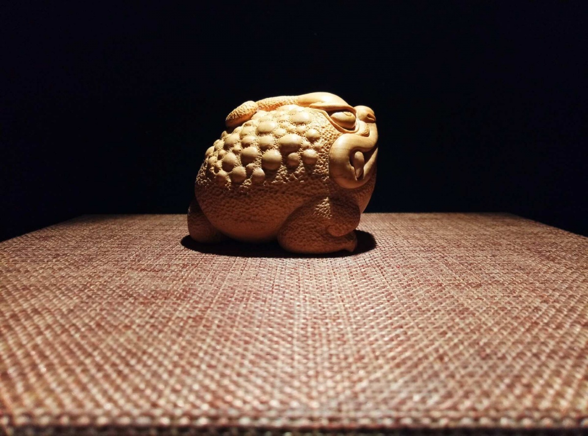 金蟾和金蟾区别,金蟾和蟾蜍是一种动物吗