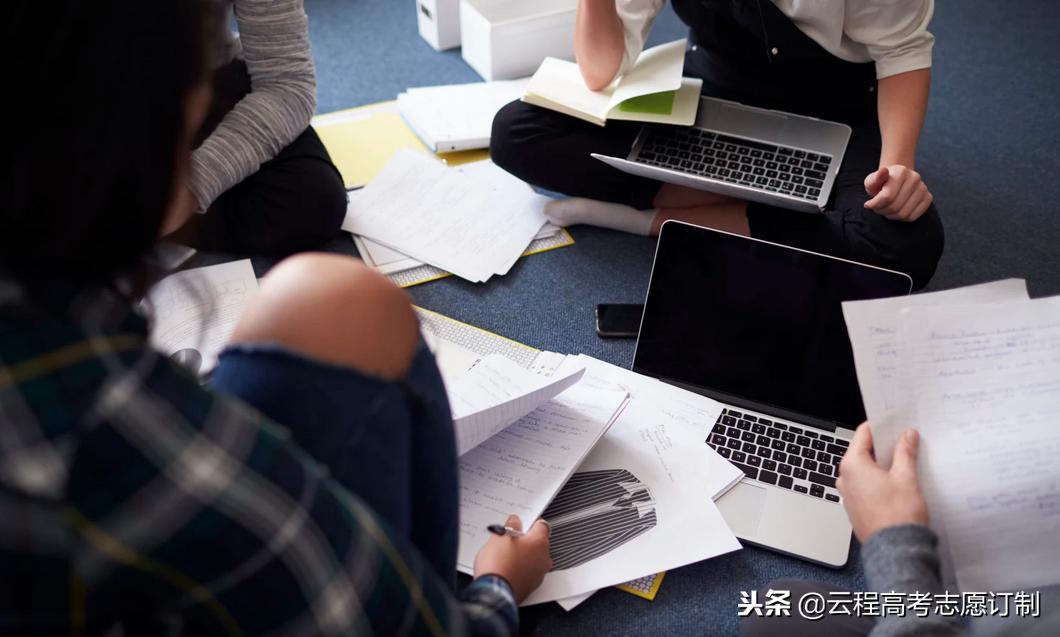 大学里什么专业最适合辅修？