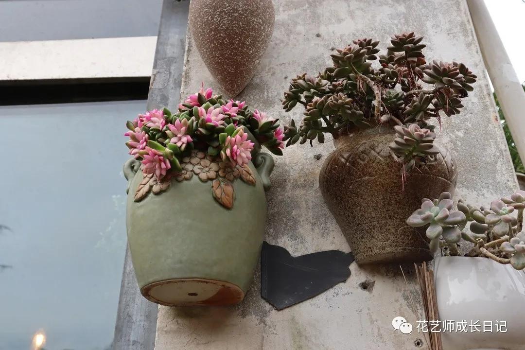 <html>
<head><title>502BadGateway</title></head>
<body>
<center><h1>502BadGateway</h1></center>
<hr><center>nginx</center>
</body>
</html>
<!--apaddingtodisableMSIEandChromefriendlyerrorpage-->
<!--apaddingtodisableMSIEandChromefriendlyerrorpage-->
<!--apaddingtodisableMSIEandChromefriendlyerrorpage-->
<!--apaddingtodisableMSIEandChromefriendlyerrorpage-->
<!--apaddingtodisableMSIEandChromefriendlyerrorpage-->
<!--apaddingtodisableMSIEandChromefriendlyerrorpage-->
