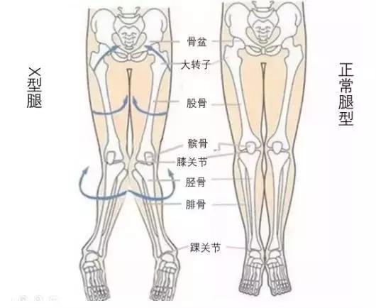 缓解脚跟疼的硅胶鞋垫怎么用,舒缓鞋垫缓解脚痛
