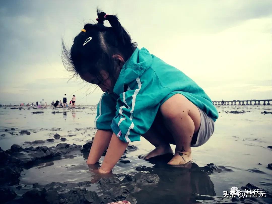 遛娃|南汇新城海滩，魔都夏日必打卡？